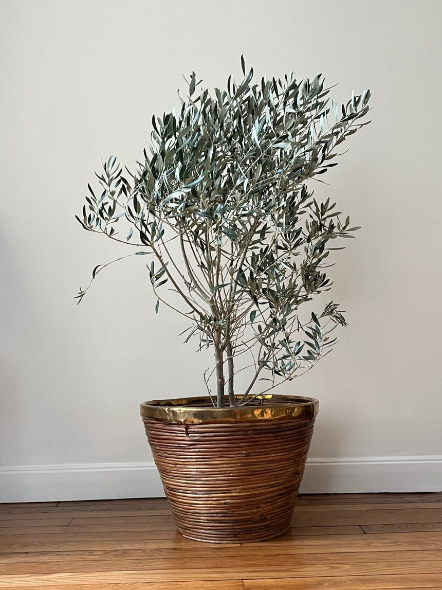 Grand cache-pot en bambou et laiton - Circa 1970 - Maison Collectible - Objets de décoration